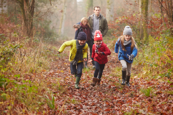 Family Walking Through Winter Woodland Family Walking Through Winter Woodland