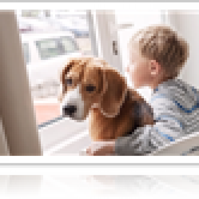 signs of high functioning autism