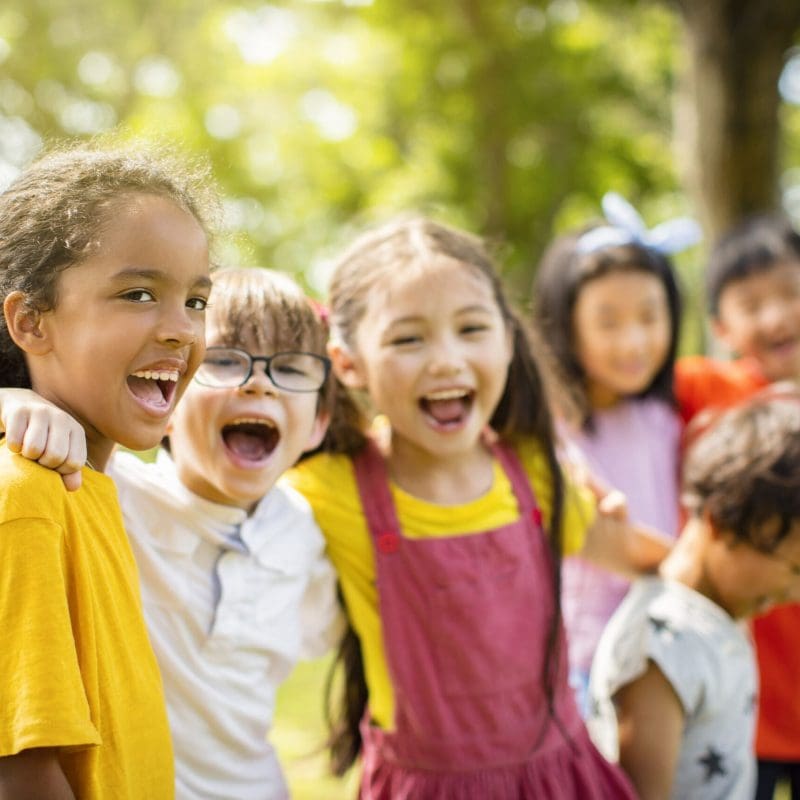 Fostering Friendships in Children with Autism